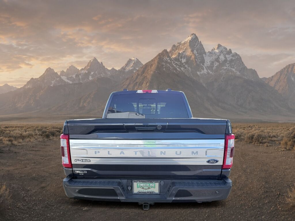 2021 Ford F-150 Platinum Idaho Falls ID