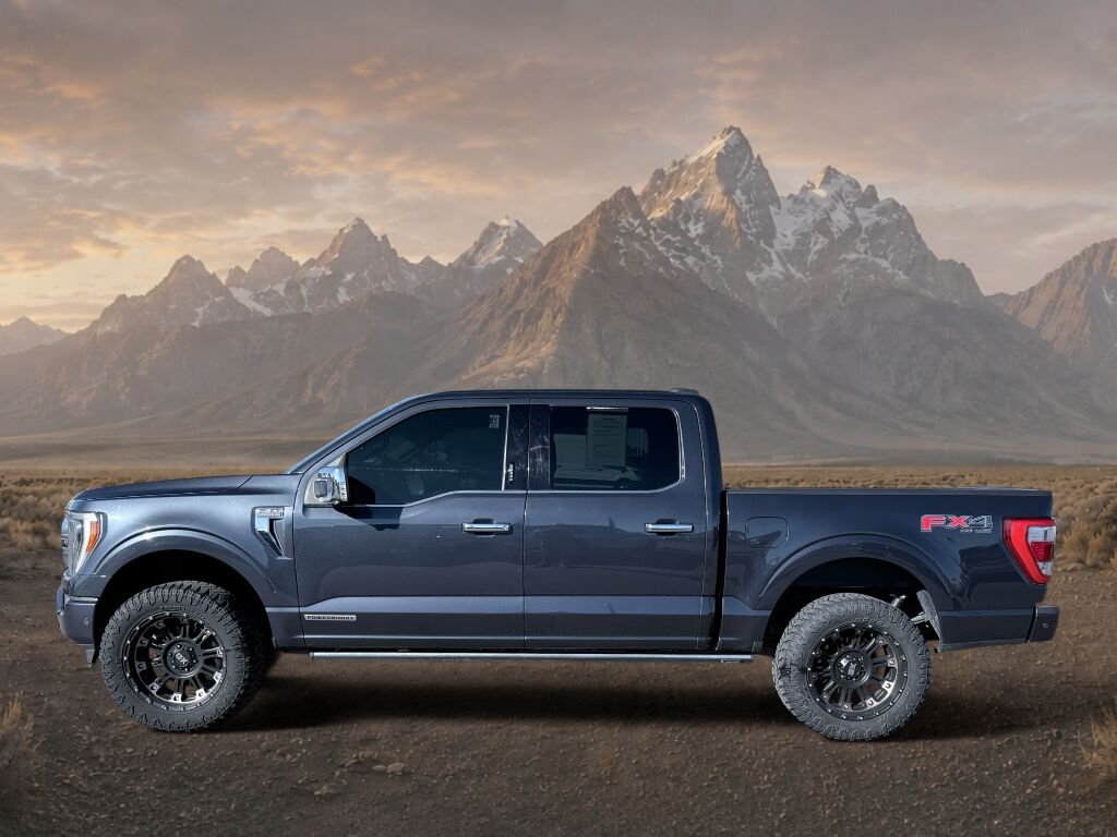 2021 Ford F-150 Platinum