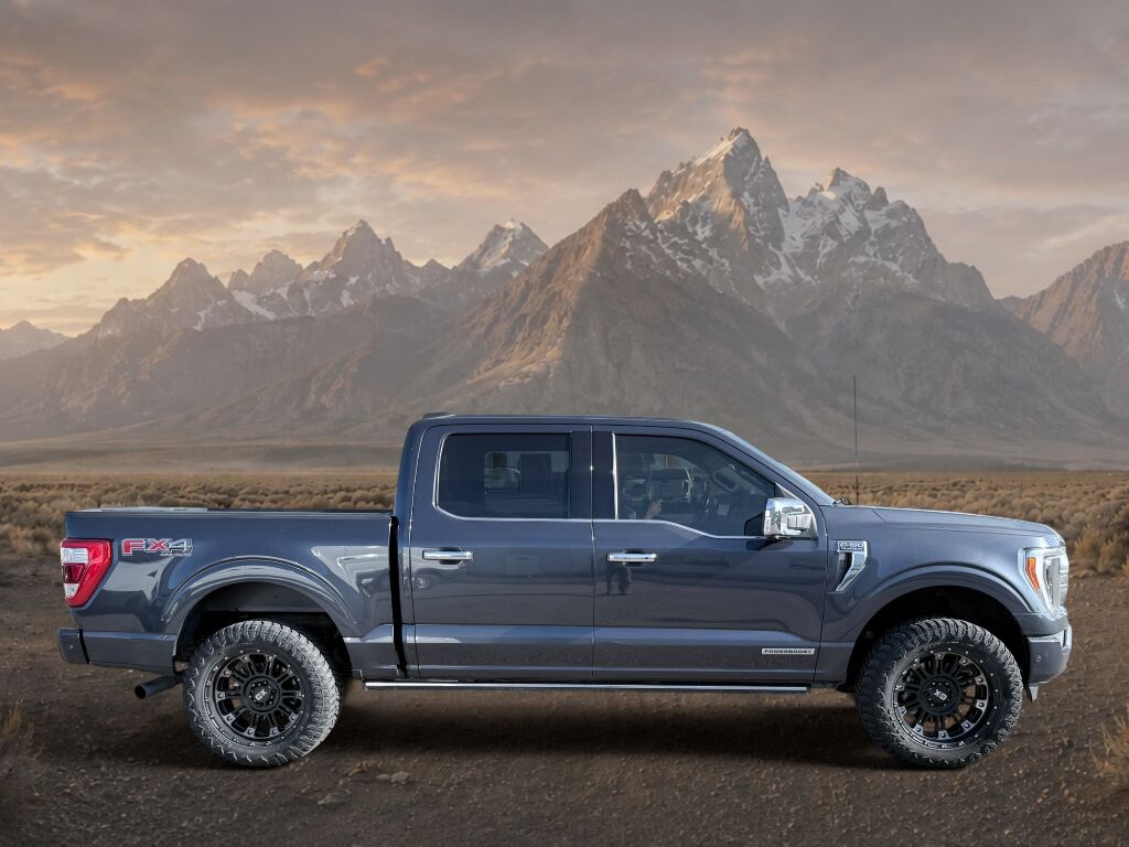2021 Ford F-150 Platinum Idaho Falls ID