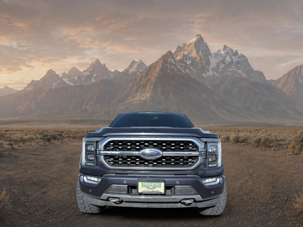 2021 Ford F-150 Platinum Idaho Falls ID