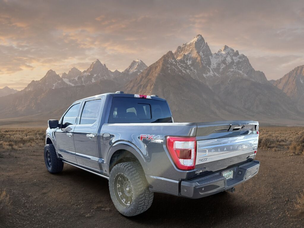 2021 Ford F-150 Platinum