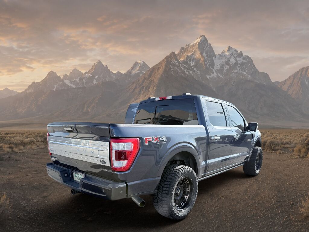 2021 Ford F-150 Platinum Idaho Falls ID