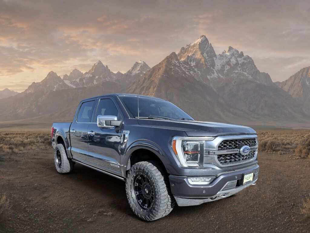 2021 Ford F-150 Platinum Idaho Falls ID