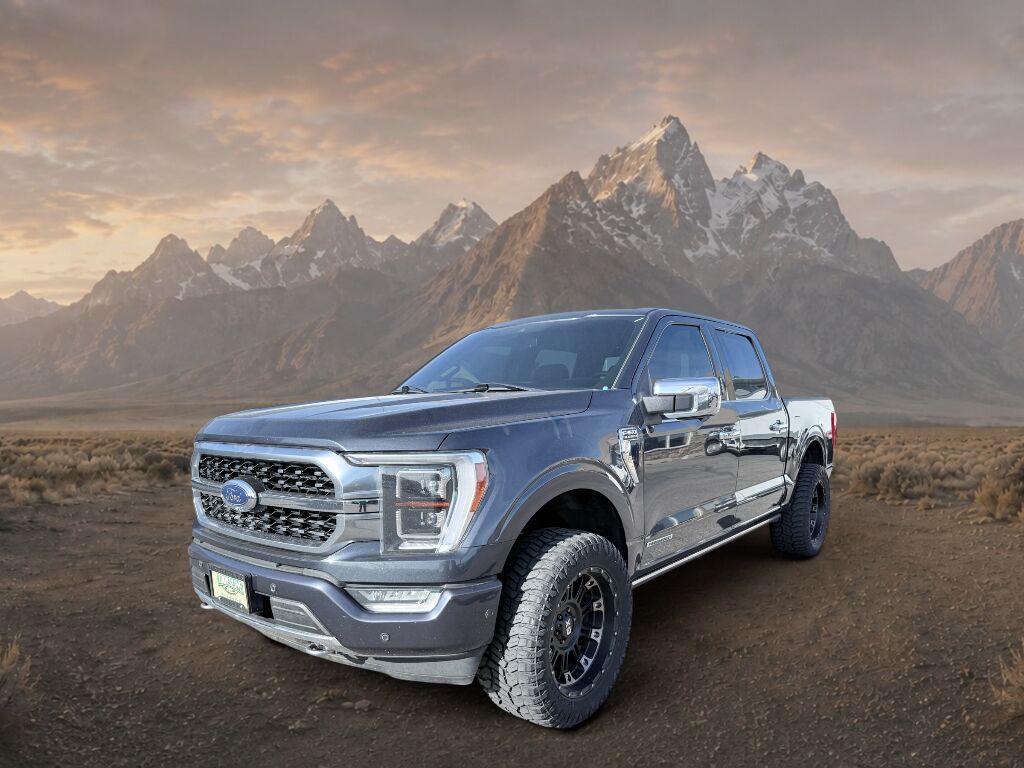 2021 Ford F-150 Platinum