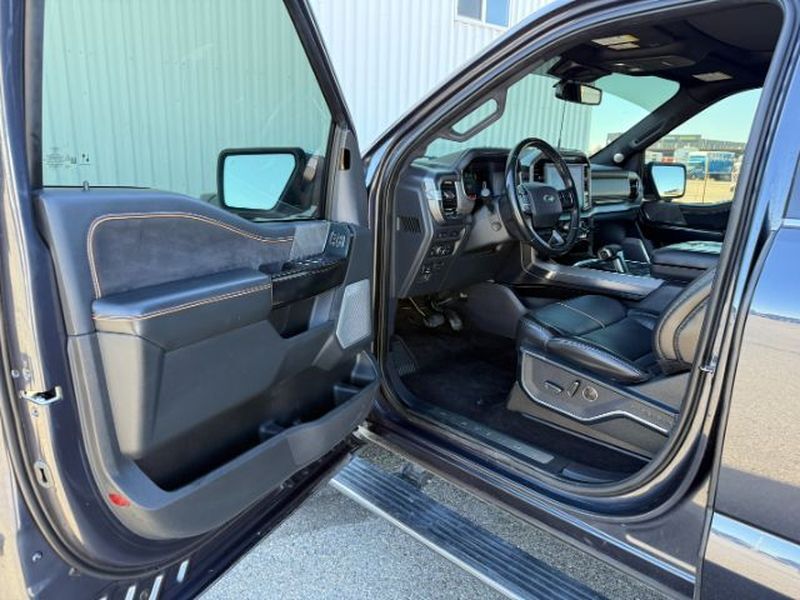 2021 Ford F-150 Platinum Idaho Falls ID
