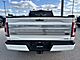 2021 Ford F-150 Platinum Milwaukee WI