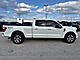 2021 Ford F-150 Platinum Milwaukee WI