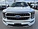 2021 Ford F-150 Platinum Milwaukee WI