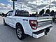 2021 Ford F-150 Platinum Milwaukee WI