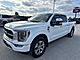 2021 Ford F-150 Platinum Milwaukee WI