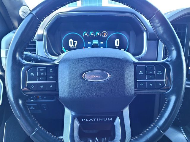 2021 Ford F-150 Platinum Roseville CA