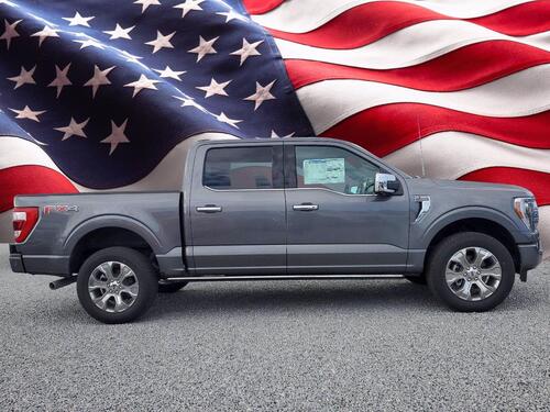 2021 Ford F-150 Platinum Tampa FL 2021 Ford F-150 Platinum Tampa FL