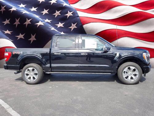 2021 Ford F-150 Platinum Tampa FL 2021 Ford F-150 Platinum Tampa FL
