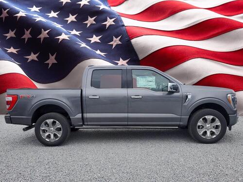 2021 Ford F-150 Platinum Tampa FL 2021 Ford F-150 Platinum Tampa FL