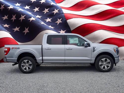 2021 Ford F-150 Platinum Tampa FL 2021 Ford F-150 Platinum Tampa FL