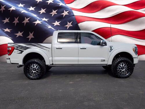 2021 Ford F-150 Platinum Tampa FL 2021 Ford F-150 Platinum Tampa FL