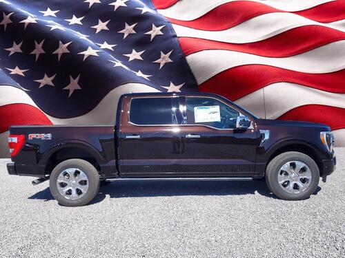 2021 Ford F-150 Platinum Tampa FL 2021 Ford F-150 Platinum Tampa FL