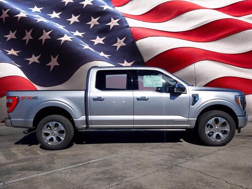 2021 Ford F-150 Platinum Tampa FL 2021 Ford F-150 Platinum Tampa FL