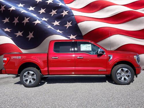 2021 Ford F-150 Platinum Tampa FL 2021 Ford F-150 Platinum Tampa FL