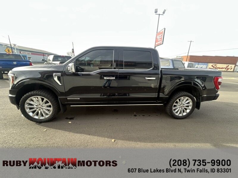 2021 Ford F-150 Platinum Twin Falls ID