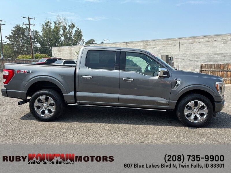 2021 Ford F-150 Platinum Twin Falls ID