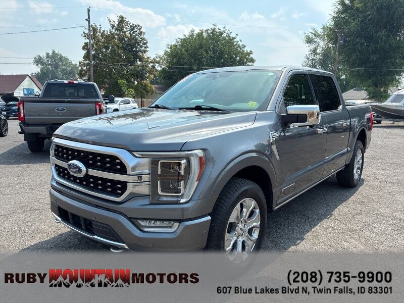 2021 Ford F-150 Platinum