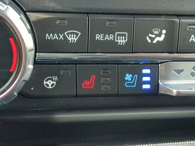 2021 Ford F-150 Platinum Winder GA