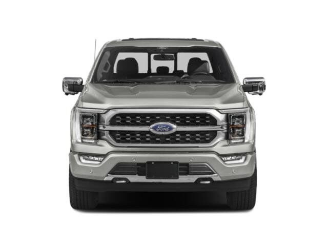 2021 Ford F-150 Platinum Winder GA