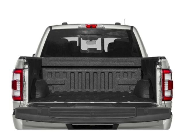 2021 Ford F-150 Platinum Winder GA