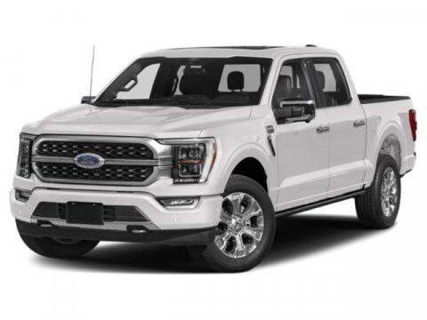 2021 Ford F-150 Platinum Winder GA