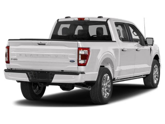 2021 Ford F-150 Platinum Winder GA