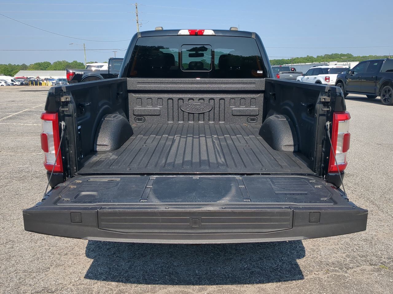 2021 Ford F-150 Platinum Winder GA