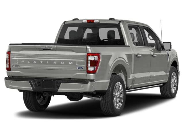 2021 Ford F-150 Platinum Winder GA