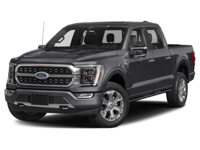 2021 Ford F-150 Platinum Winder GA