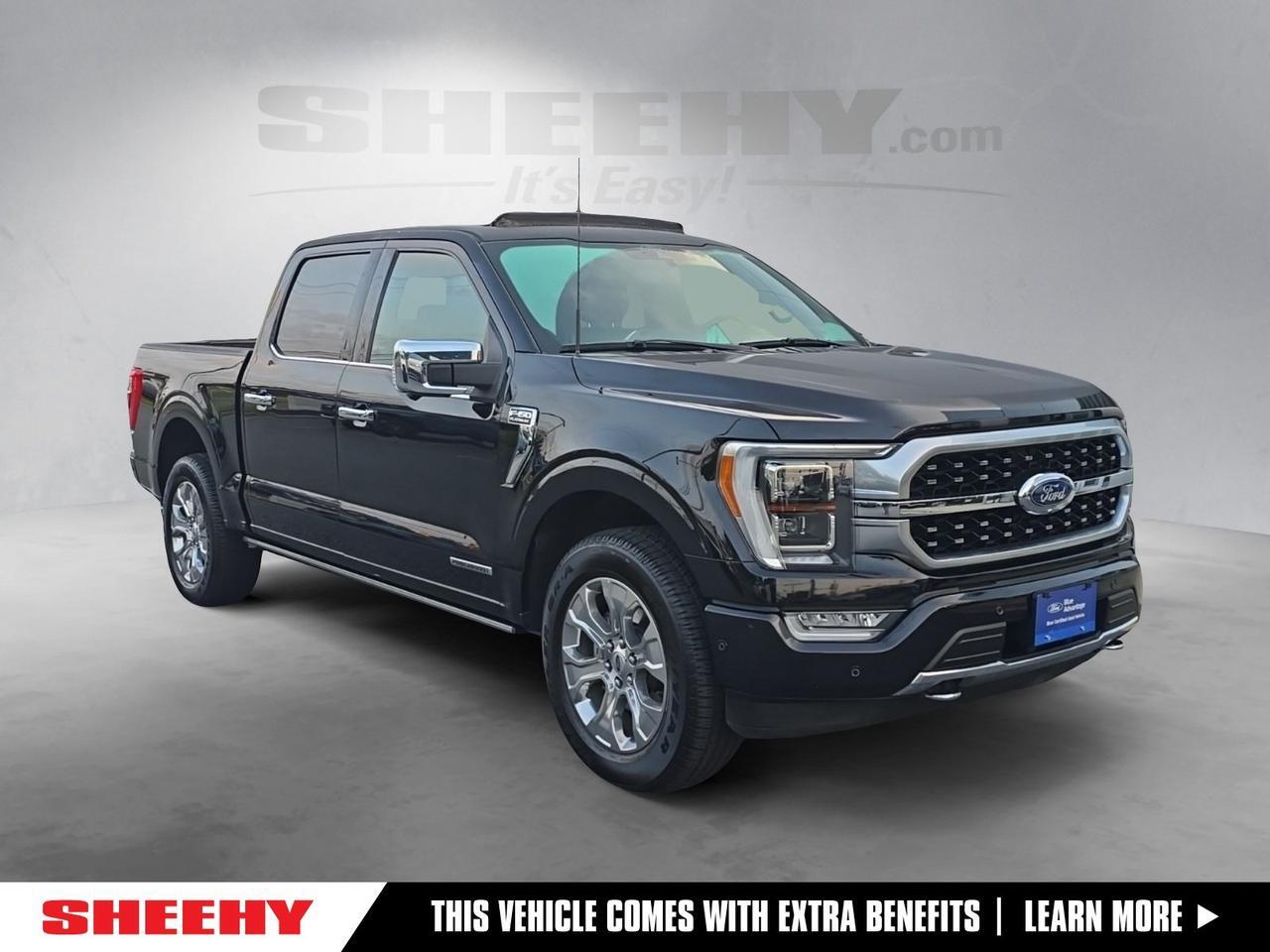 2021 Ford F-150 Platinum Gaithersburg MD