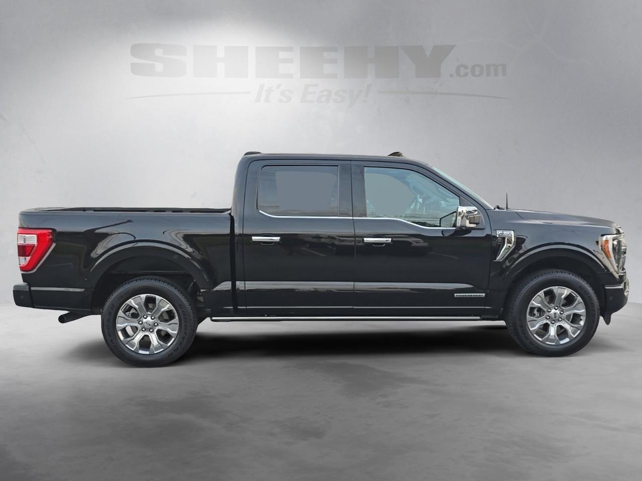 2021 Ford F-150 Platinum Gaithersburg MD