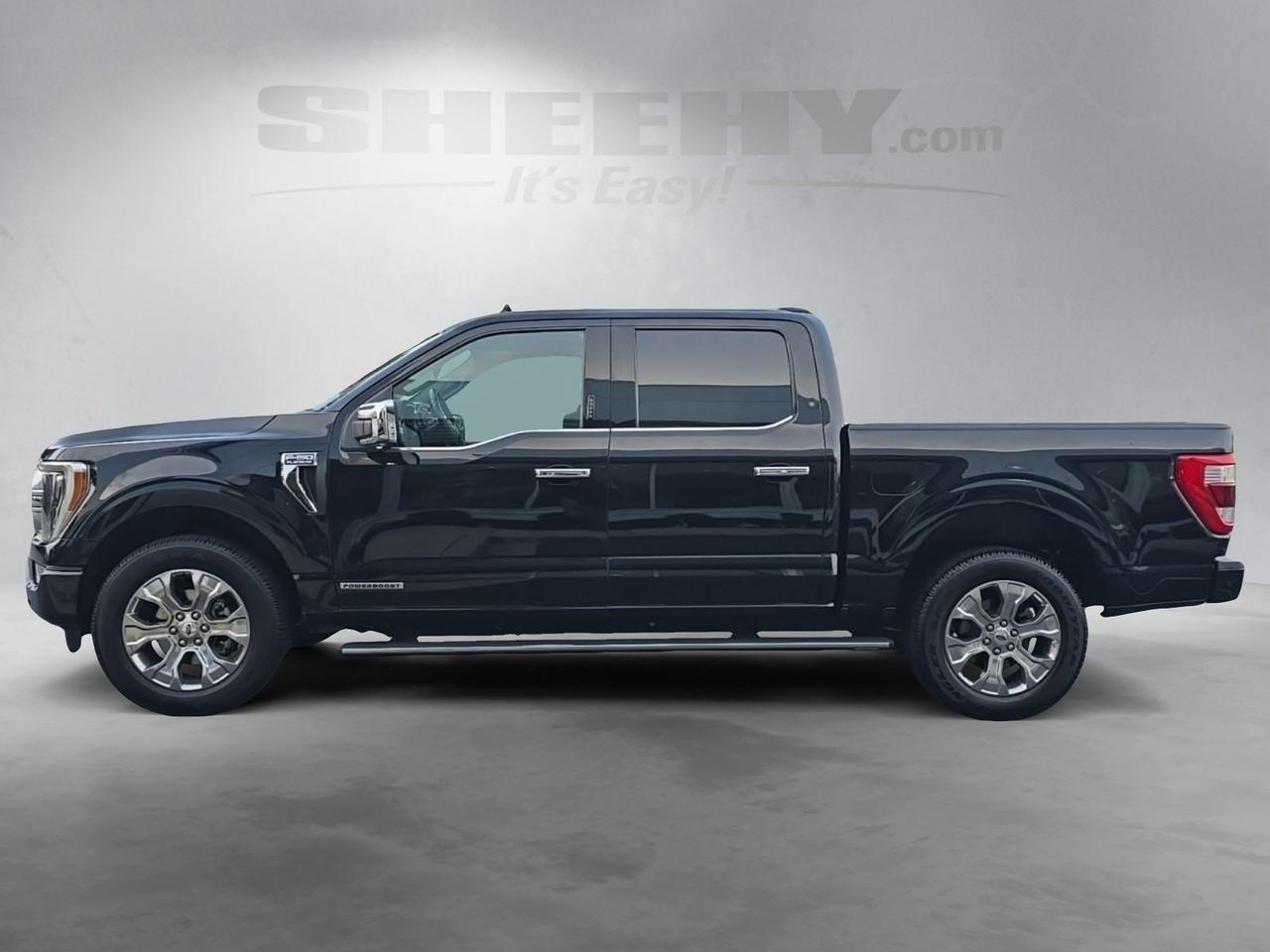 2021 Ford F-150 Platinum Gaithersburg MD