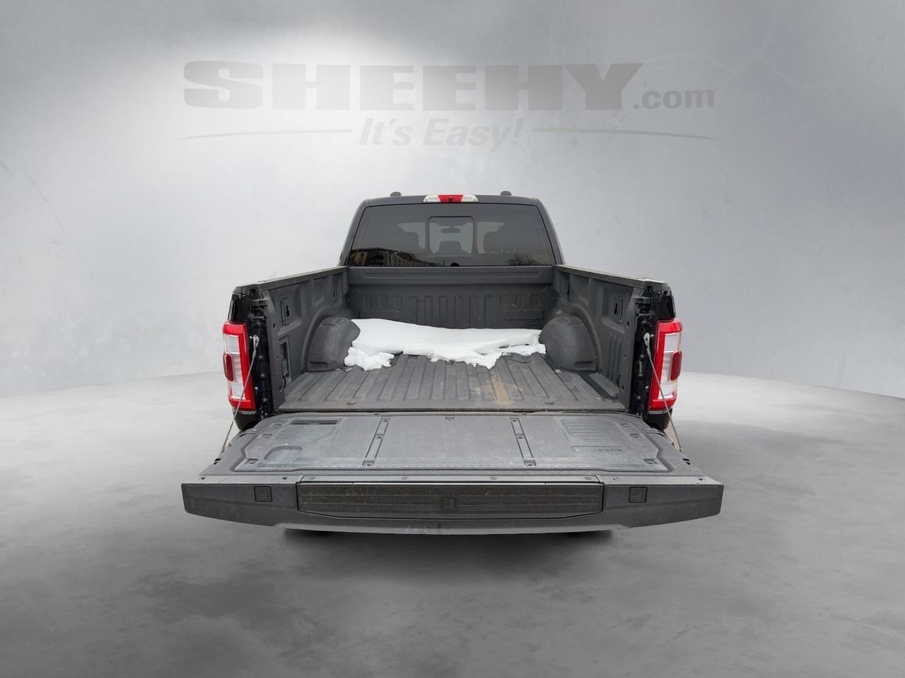 2021 Ford F-150 Platinum Springfield VA