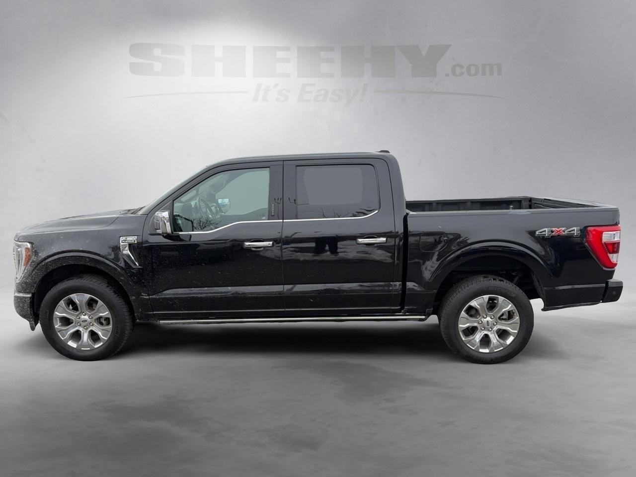 2021 Ford F-150 Platinum Springfield VA