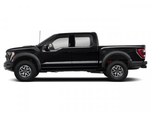 2021 Ford F-150 Raptor Winder GA