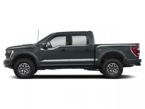 2021 Ford F-150 Raptor Winder GA