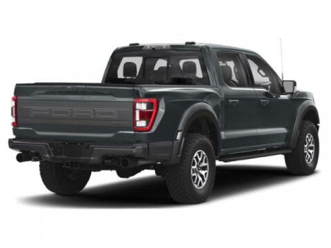2021 Ford F-150 Raptor Winder GA