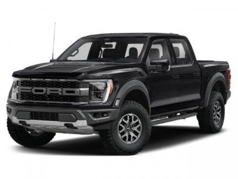 2021 Ford F-150 Raptor Winder GA