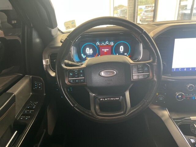 2021 Ford F-150 SuperCrew 4WD Platinum Lafayette LA