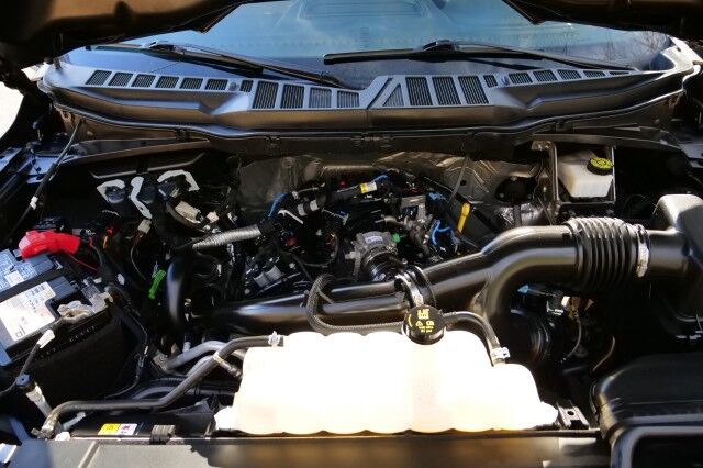 2021 Ford F-150 XL 4X4 / 2.7L V6 / Appearance Package! High Point NC