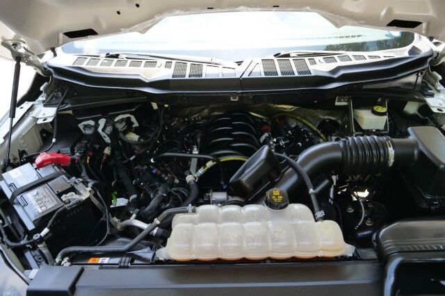 2021 Ford F-150 XL 4X4 / 5.0L V8 / STX Appearance PKG! High Point NC