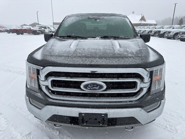 2021 Ford F-150 XLT Pine River MN