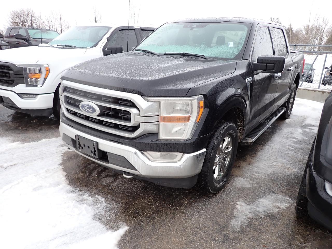 2021 Ford F-150 XLT SUPERCREW 5.5-FT BOX 4WD Listowel ON