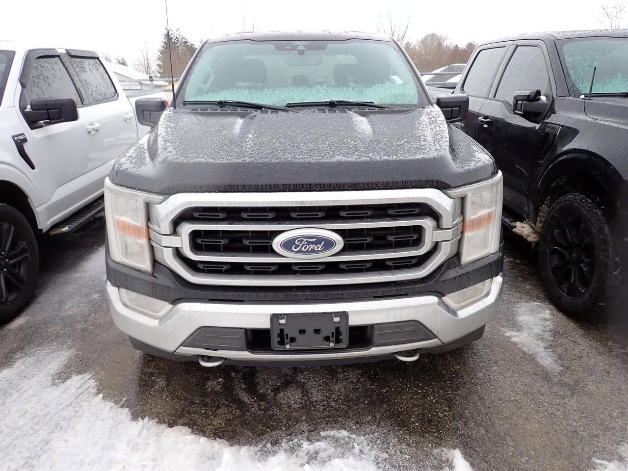 2021 Ford F-150 XLT SUPERCREW 5.5-FT BOX 4WD Listowel ON