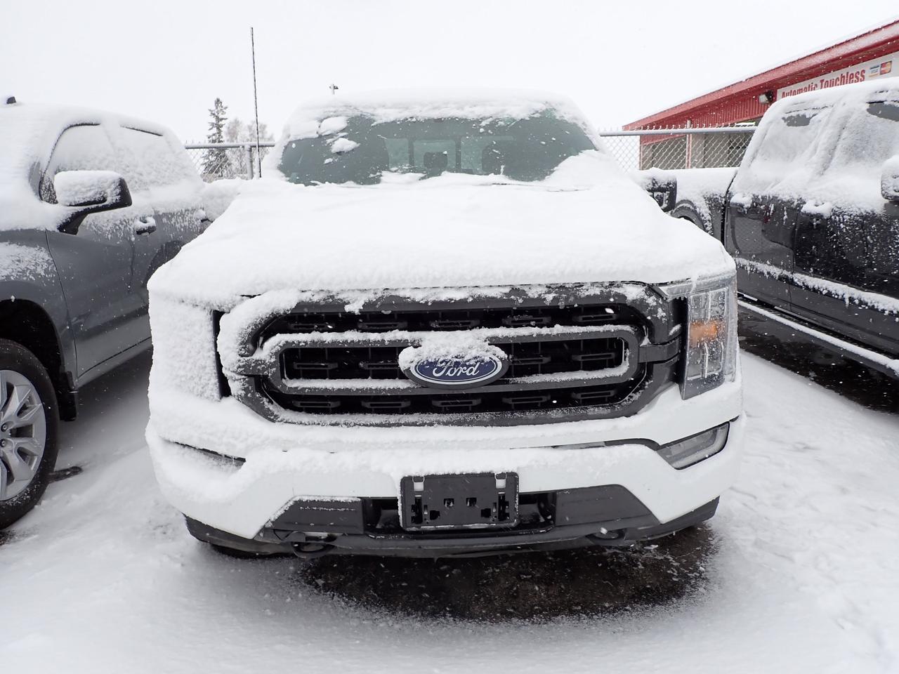 2021 Ford F-150 XLT SUPERCREW SPORT 4WD Listowel ON